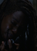 twd1013_2257.jpg