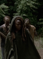 twd1013_2404.jpg