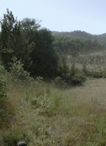 twd1013_2450.jpg