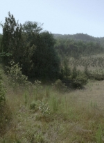 twd1013_2451.jpg