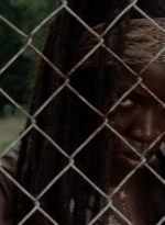 twd1013_2469.jpg