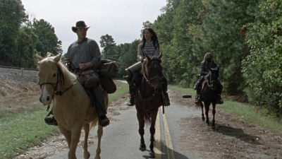 twd1014_1197.jpg