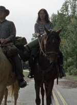 twd1014_1208.jpg