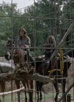 twd1014_1284.jpg