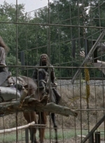 twd1014_1286.jpg