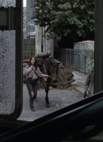 twd1014_2372.jpg