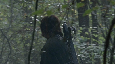 twd1015_2310.jpg