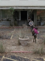 twd1015_0426.jpg