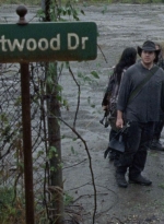 twd1015_1643.jpg