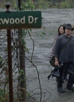 twd1015_1645.jpg