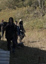 twd1017_scnet_1929.jpg