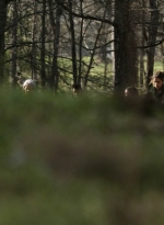 twd1103_scnet_0964.jpg