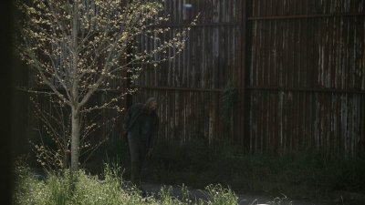 twd1105_scnet_0096.jpg