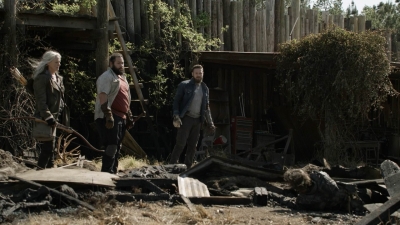twd1105_scnet_0488.jpg