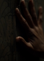 twd1106_scnet_1017.jpg