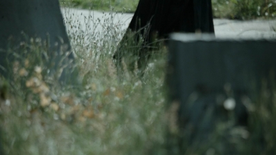 twd1107_scnet_0838.jpg