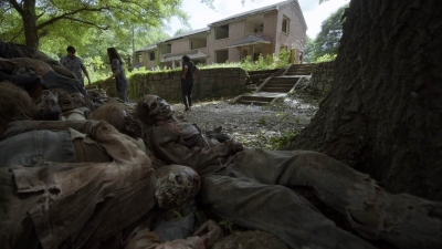 twd1107_scnet_1419.jpg