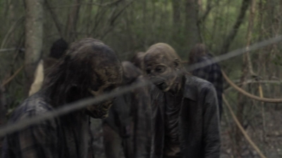 twd1107_scnet_1477.jpg