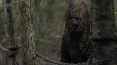 twd1107_scnet_1480.jpg