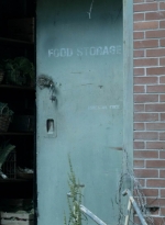 twd1107_scnet_0438.jpg