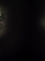 twd1107_scnet_0726.jpg
