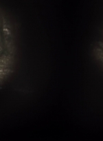 twd1107_scnet_0727.jpg