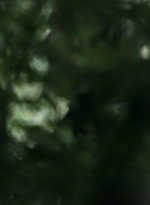 twd1107_scnet_0880.jpg