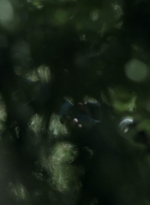 twd1107_scnet_0882.jpg