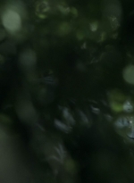 twd1107_scnet_0883.jpg