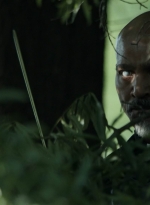 twd1107_scnet_0885.jpg