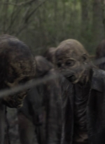 twd1107_scnet_1477.jpg