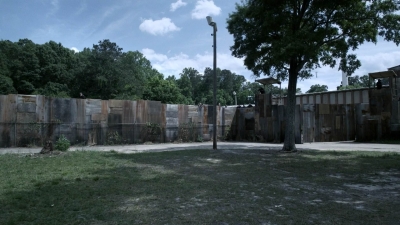 twd1108_scnet_0005.jpg