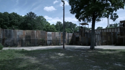 twd1108_scnet_0006.jpg