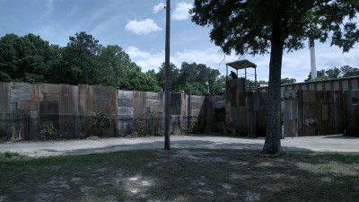 twd1108_scnet_0007.jpg