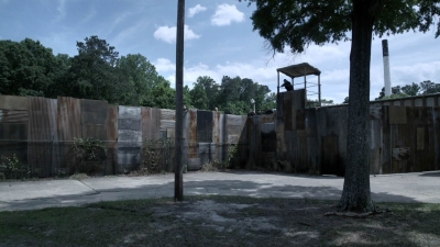 twd1108_scnet_0008.jpg