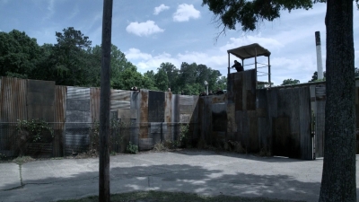 twd1108_scnet_0009.jpg