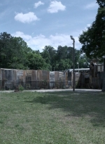 twd1108_scnet_0001.jpg