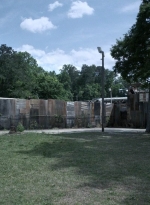 twd1108_scnet_0002.jpg