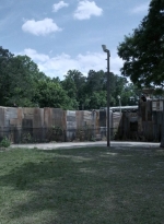 twd1108_scnet_0003.jpg