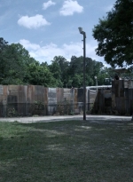 twd1108_scnet_0004.jpg