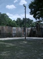 twd1108_scnet_0005.jpg