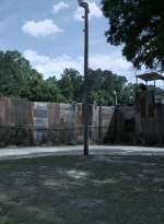 twd1108_scnet_0006.jpg