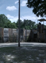 twd1108_scnet_0007.jpg