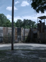 twd1108_scnet_0008.jpg