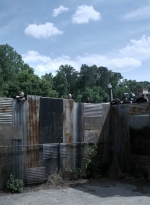 twd1108_scnet_0011.jpg