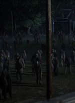 twd1108_scnet_1103.jpg