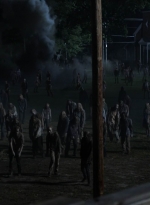 twd1108_scnet_1106.jpg