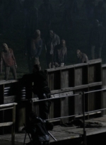 twd1108_scnet_1333.jpg