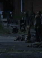 twd1108_scnet_1802.jpg