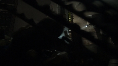 twd1110_scnet_0923.jpg